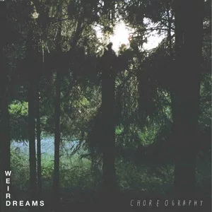 Weird Dreams - Choreography